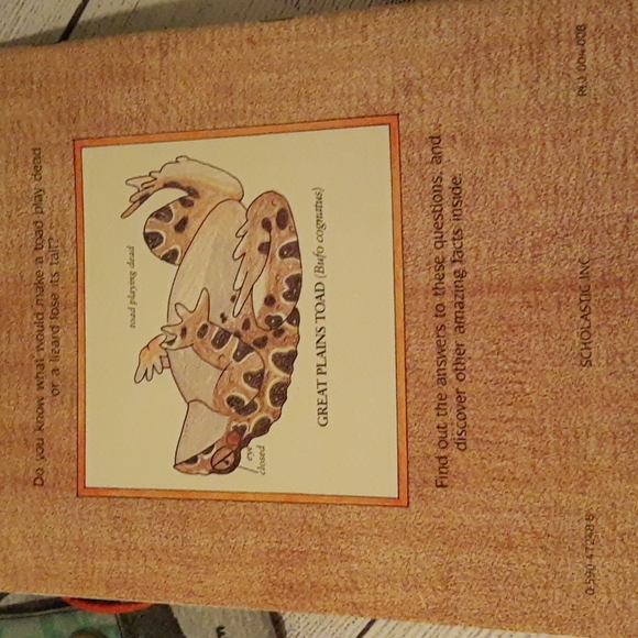 BugsT 3D Lizard Tee, Book, Toy - Picture 13 of 16